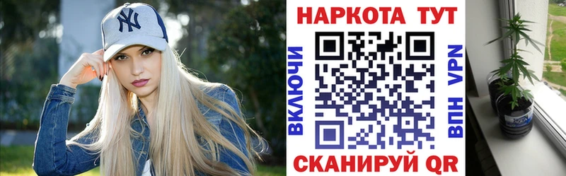 Где найти наркотики Волгореченск АМФЕТАМИН Альфа ПВП Меф мяу мяу ГАШИШ Канабис Кокаин