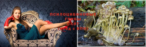 гашик Беломорск