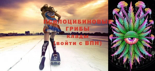 прущая мука Белокуриха