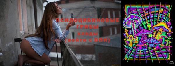 гашик Беломорск