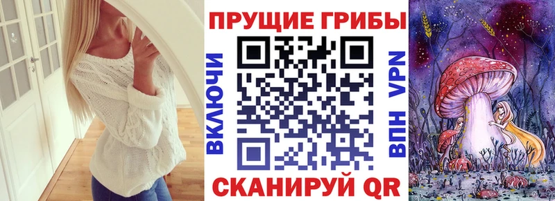 Галлюциногенные грибы MAGIC MUSHROOMS  что такое   Волгореченск 