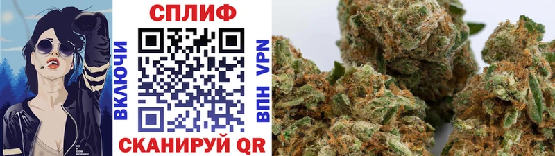 Канабис White Widow Волгореченск